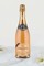2017 Late Disgorged Brut Rosé - View 1