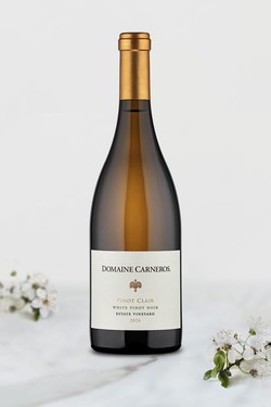 2024 Pinot Clair
